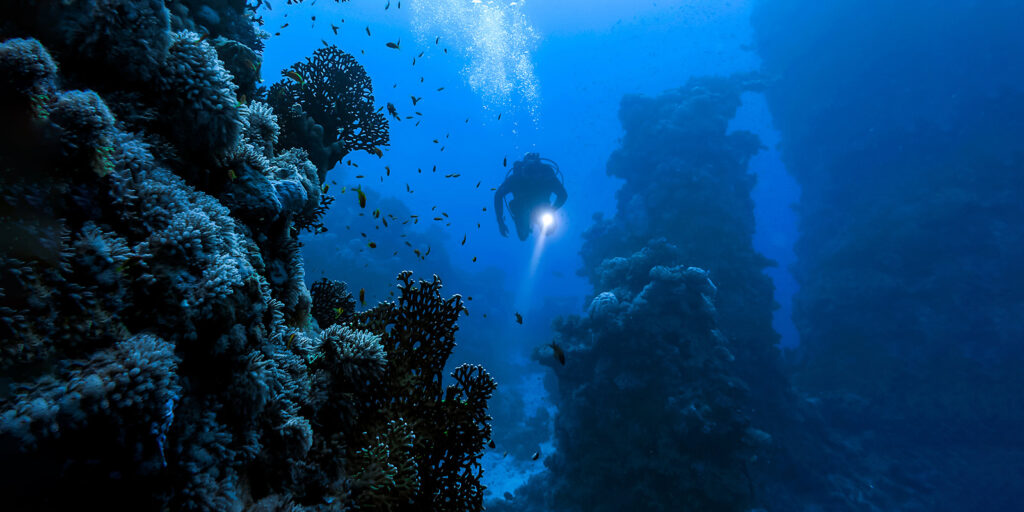 Diver with a torch under the sea looking towards the seabed and a coral reef