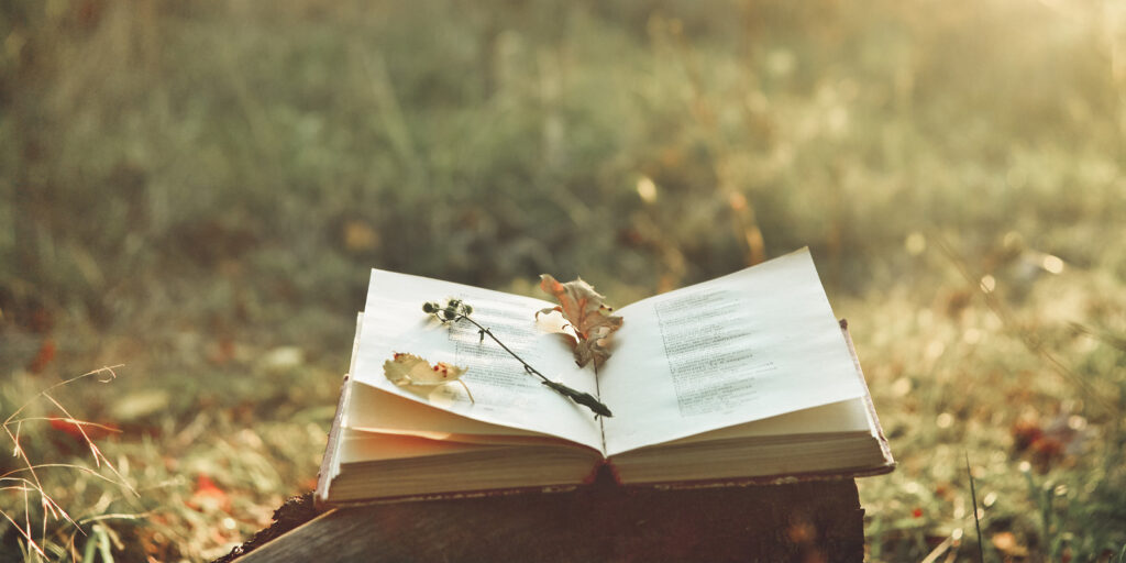 Poetry book laying on the grass covered in flowers.